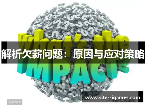 解析欠薪问题：原因与应对策略