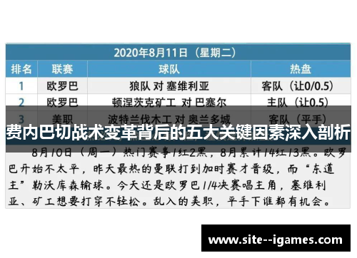 费内巴切战术变革背后的五大关键因素深入剖析 费内巴切战术变革背后的五大关键因素深入剖析