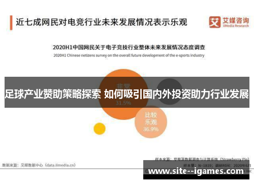 足球产业赞助策略探索 如何吸引国内外投资助力行业发展 足球产业赞助策略探索 如何吸引国内外投资助力行业发展