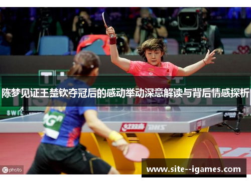 陈梦见证王楚钦夺冠后的感动举动深意解读与背后情感探析