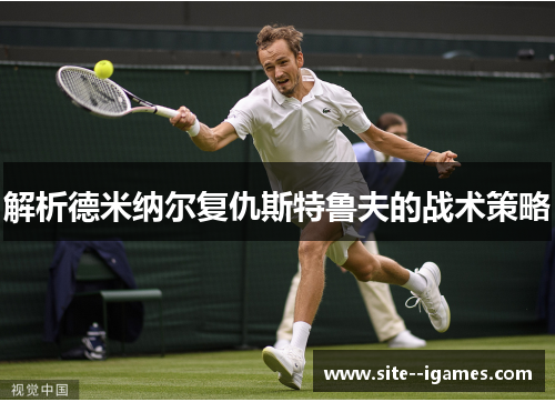 解析德米纳尔复仇斯特鲁夫的战术策略 解析德米纳尔复仇斯特鲁夫的战术策略