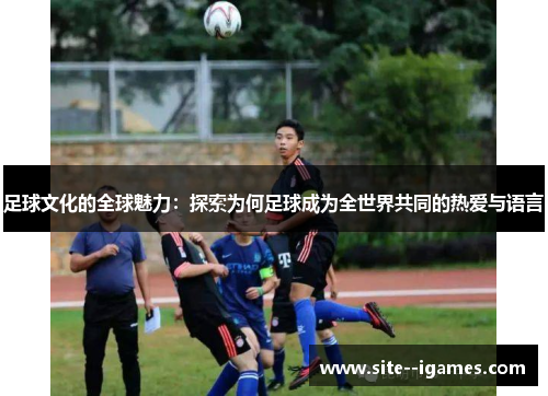 足球文化的全球魅力:探索为何足球成为全世界共同的热爱与语言 足球文化的全球魅力:探索为何足球成为全世界共同的热爱与语言