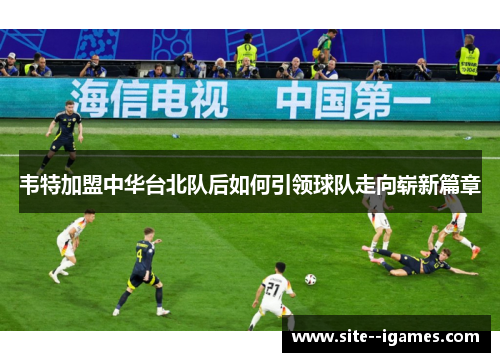 韦特加盟中华台北队后如何引领球队走向崭新篇章