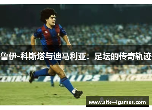 鲁伊-科斯塔与迪马利亚：足坛的传奇轨迹